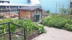 Garten von oben