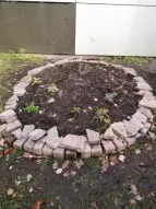 Beet mit Samenbomben