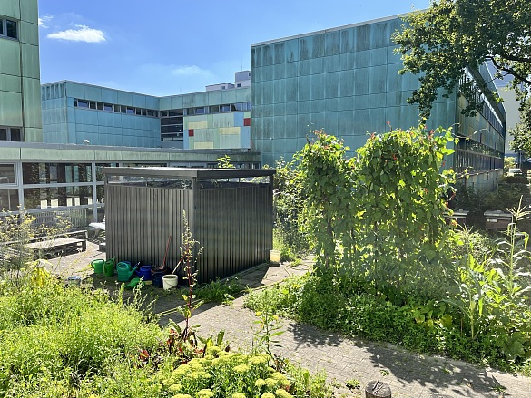 Einblicke in den Schulgarten
