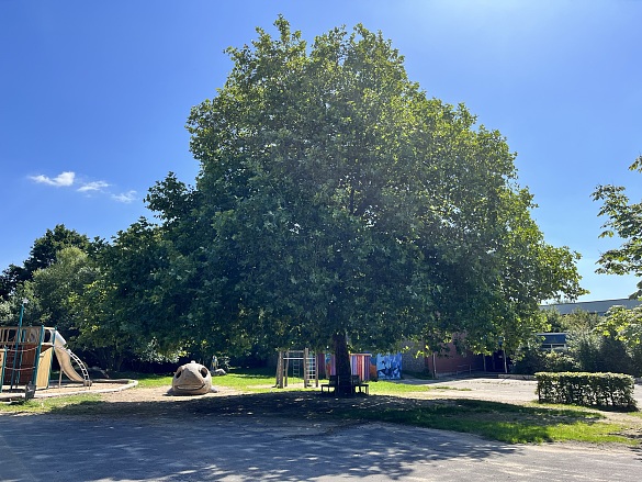 Einblicke auf den Schulhof