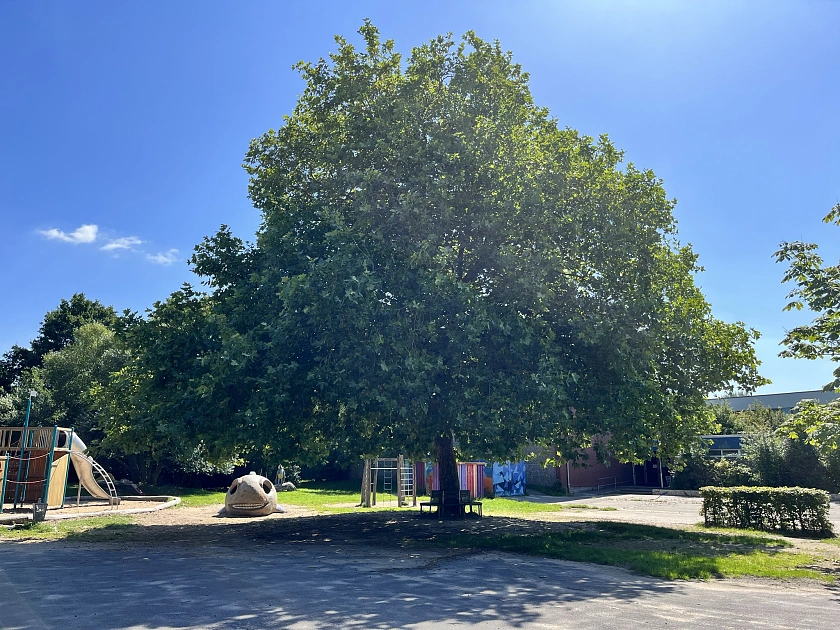 Einblicke auf den Schulhof