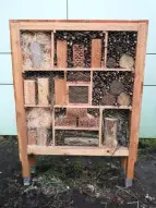 Insektenhotel