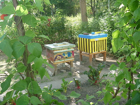 Einblicke in den Schulgarten