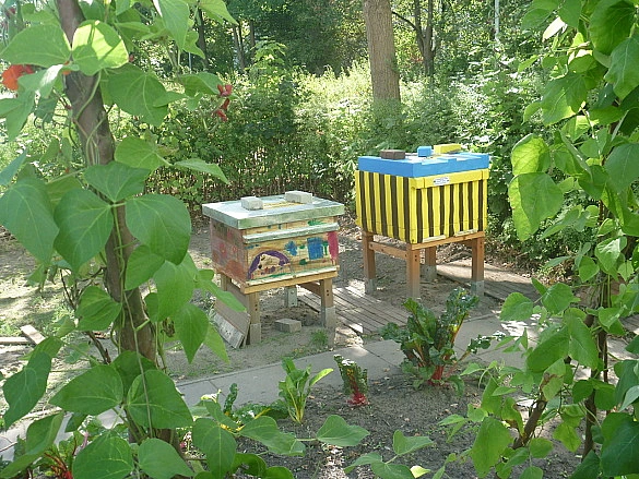 Einblicke in den Schulgarten