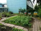 Blick in den sommerlichen Garten 2019 mit unserem neuen Hochbeet